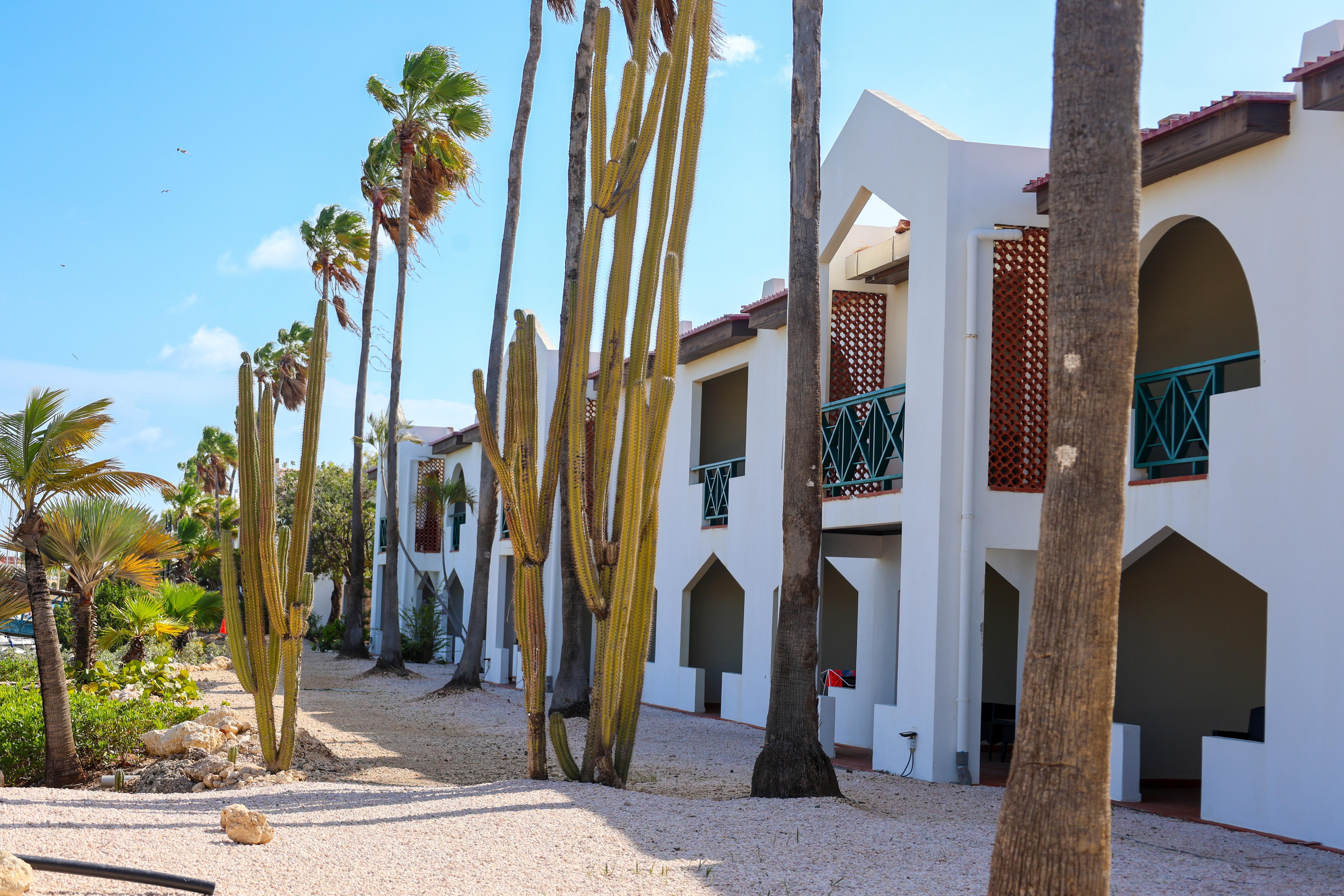 Van Der Valk Plaza Beach & Dive Resort Bonaire クラレンダイク エクステリア 写真